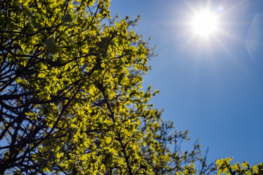 How Weather Can Damage Your Roof